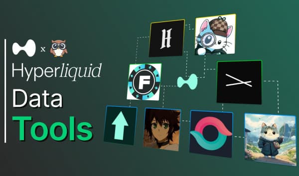 Reading the Chain: The Best Data Tools on HyperLiquid